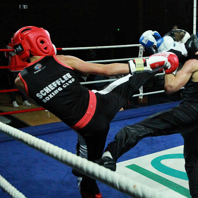 European Savate (French Boxing) Championship Finals