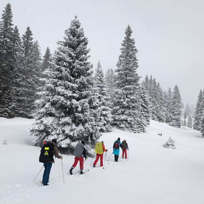 Group lessons in cross-country skiing for adults