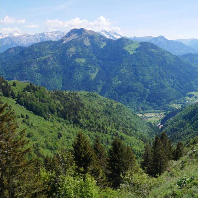 Balade pédestre - La Pointe des Brasses depuis La Joux
