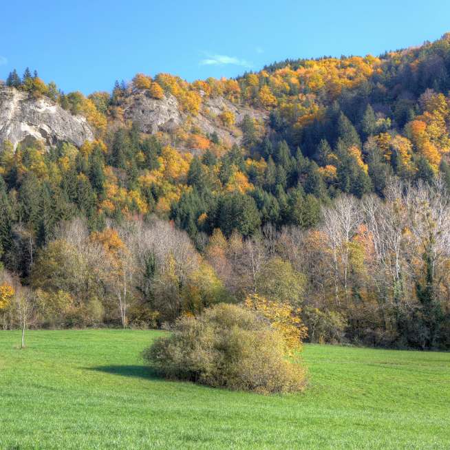 Hiking trail - Mont Vouan millstones