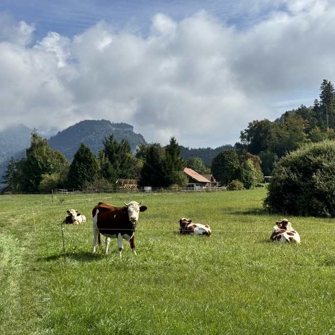 Sentier de randonnée - La Boucle des Grands Prés