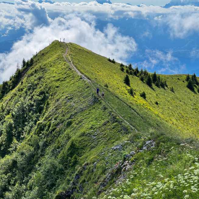Hiking trail - The Mole's Loop
