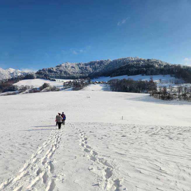 Hiking track - Col du Perret