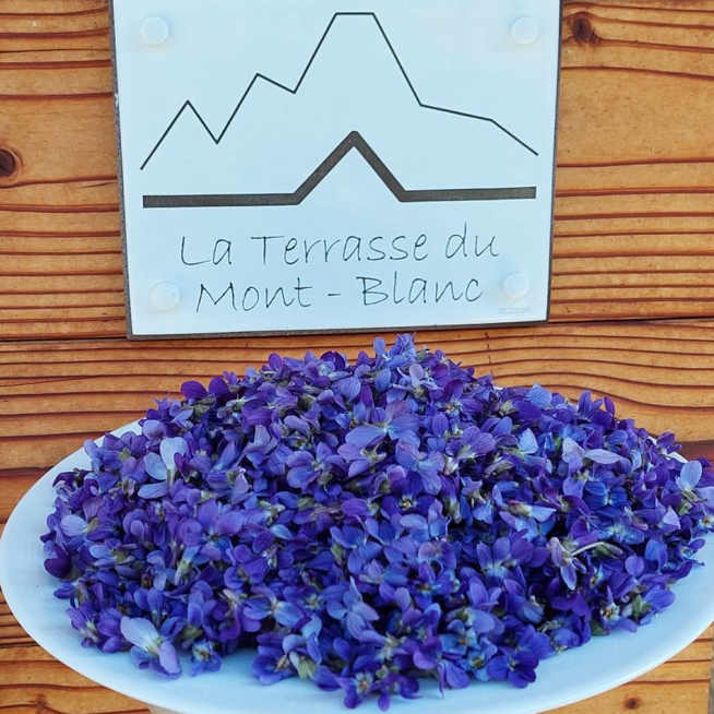 La Terrasse du Mont-Blanc