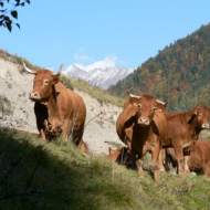 Ferme du Taillefer