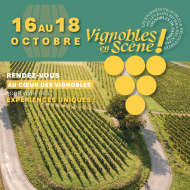 MUSÉE ROMAIN ET VIN