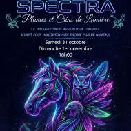 Spectacle : Spectra - Plumes et Crins de lumière