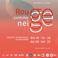 “Les P'tits Curieux” Workshop: Soilless Gardening