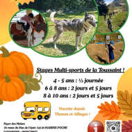 Stage 3 jours pour les 8/9 ans, avec hébergement vacances d'automne