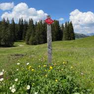 Q6 Hundsrügg Trail