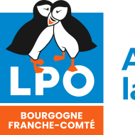 Le jour de la nuit