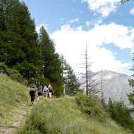 Percorso Gastronomico Estate Saas-Fee