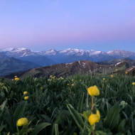 314 Sentier panoramique Hundsrügg