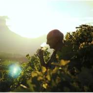 Week-end au cœur des vignes à la Maison Philippe Grisard