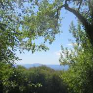 Sentier pédestre du Mont Clergeon - petite boucle