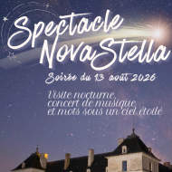 Spectacle Novastella au château d'Ancy-le-Franc