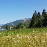 Schwarzsee