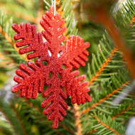 Christmas show: ‘The True Story of Father Christmas’