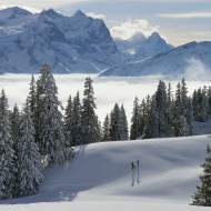 Mägisalp - Bidmi
