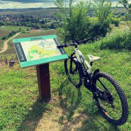 Location de VTT à assistance électrique - À la découverte du vignoble Chablisien avec Marc Colin