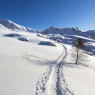 Rando Raquettes - Bureau des Guides et accompagnateurs  Oisans Alpe d'Huez