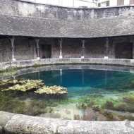 Visite et dégustation