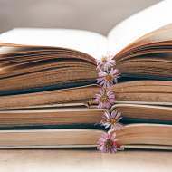 Boekensigneersessies – ontmoetingen met auteurs in de bibliotheek en spelotheek Le Millefeuille
