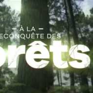 A la reconquête des forêts – Episode 3 : Les Landes, à l’Aube d’un Nouvel Equilibre