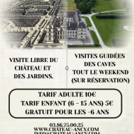 Journées Européennes du Patrimoine au château d'Ancy-le-Franc