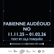 Expositions "No !" et "Batt to batt"