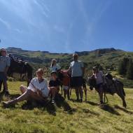 Le Col de la Molède au pas de l'âne
