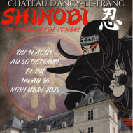 Exposition "SHINOBI - Les Guerriers de l'Ombre"