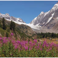 Randonnée circulaire Fafleralp - Anenhütte - Fafleralp