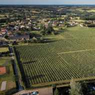 Immersion au Clos de Breuilly - Visite du domaine et dégustation commentée des vins
