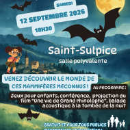 La nuit des chauves-souris