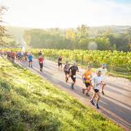Marathon de Chablis