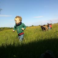camping at the farm