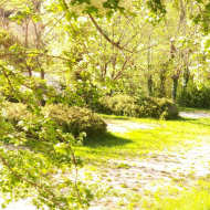 Le Pré des Arbres