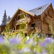 Hôtel Chalet Mounier