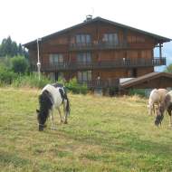 Chalet Gabriel
