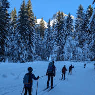 Cours de ski de fond collectifs pour adulte débutant