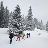 Cours collectifs de ski de fond pour adulte perfectionnement