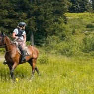Hiking and equestrian activities