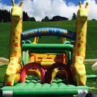Bellevue' inflatable game