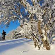 Snowshoeing in Hirmentaz
