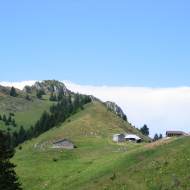 Pertuis mountain pasture
