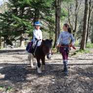 Horse treks and pony rides, discovery level