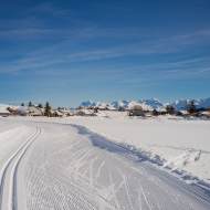 Domaine ski de fond Solaison