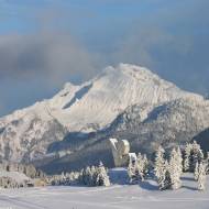 Snowshoe trekking - Let's cross Glières