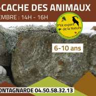 Les P'tits Experts de la Nature® - Le P'tit cache-cache des animaux